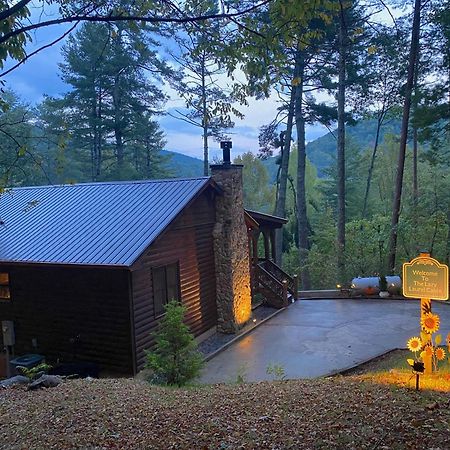 Villa The Cozy Lazy Laurel With Year-Round Mountain Views, Hot Tub, Fire Pit à Cherry Log Extérieur photo