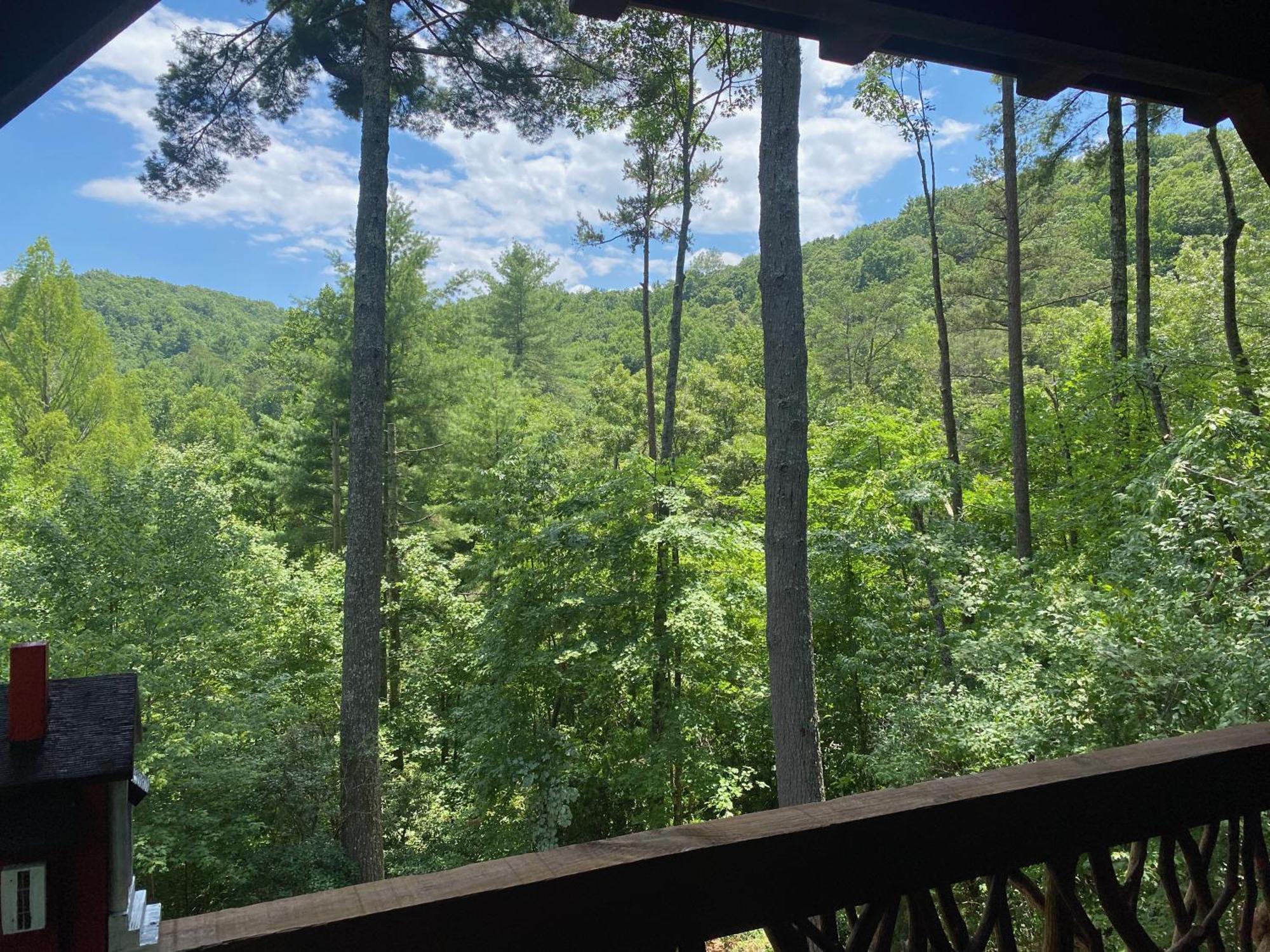 Villa The Cozy Lazy Laurel With Year-Round Mountain Views, Hot Tub, Fire Pit à Cherry Log Extérieur photo